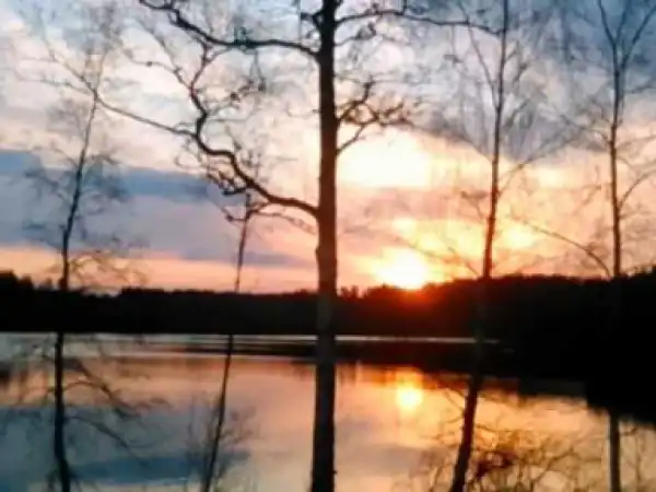 Swan Silvertones - Come What May